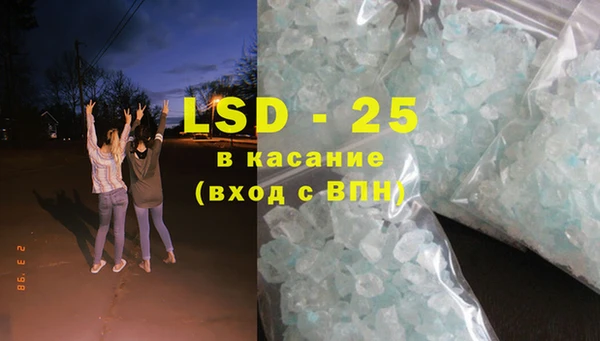 прущие грибы Ладушкин