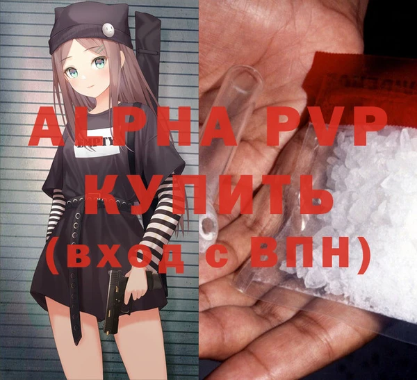 прущие грибы Ладушкин