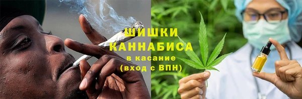 индика Лагань