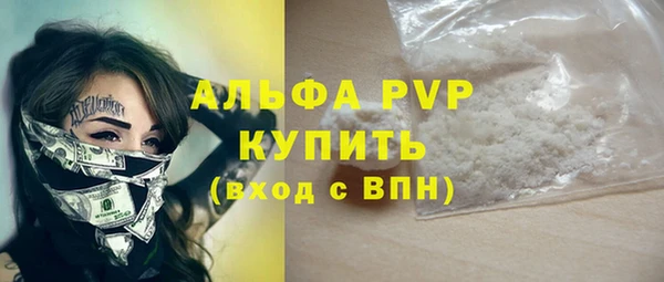прущие грибы Ладушкин