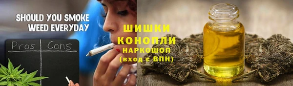 прущие грибы Ладушкин