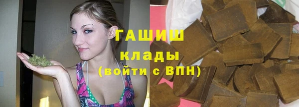 прущие грибы Ладушкин