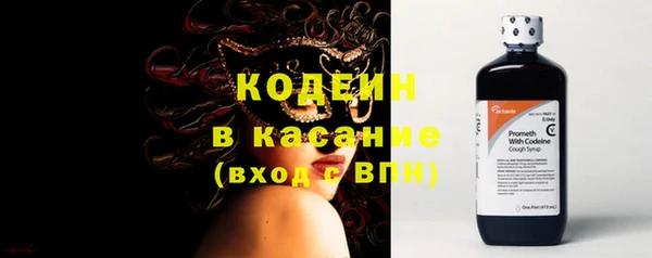 прущие грибы Ладушкин