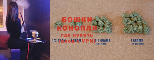 индика Лагань