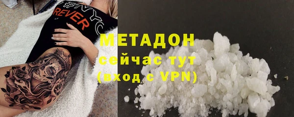 прущие грибы Ладушкин