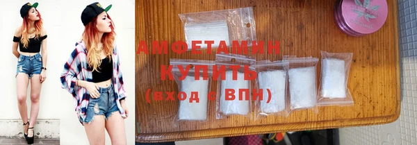 прущие грибы Ладушкин
