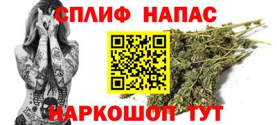 дживик Камышлов