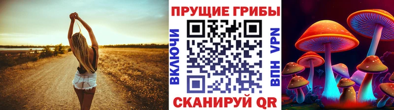 где найти   Нижнеудинск  Галлюциногенные грибы MAGIC MUSHROOMS 