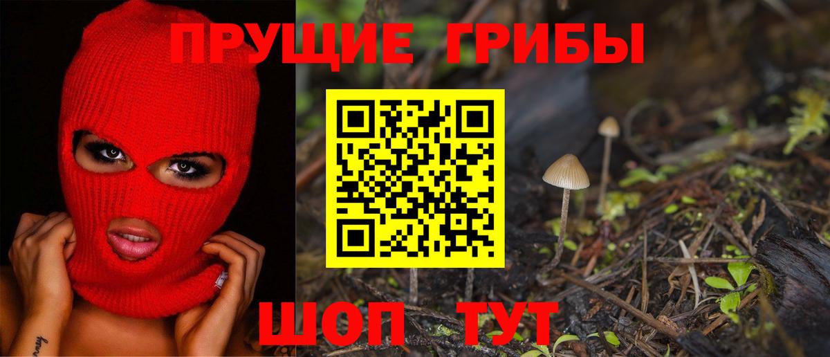 Псилоцибиновые грибы Cubensis Нижнеудинск